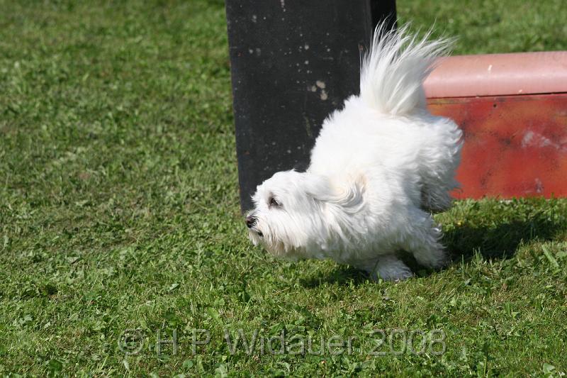 jubil.lusten. 213.jpg